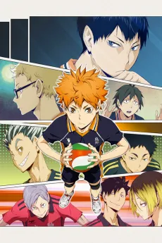 HAIKYU!! cover