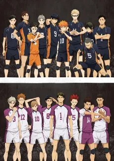 HAIKYU!! cover